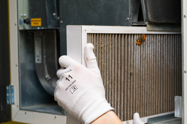 Best Air Vent Cleaning Services  in Grain Valley, MO