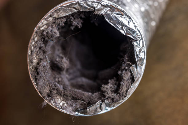 Best HVAC Duct Inspection Services  in Grain Valley, MO