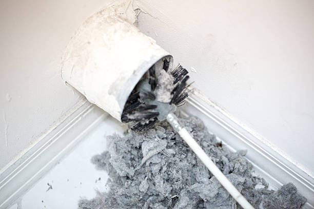 Best Duct Cleaning for Offices  in Grain Valley, MO
